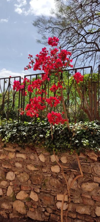 B&B Akropolis Taormina Exterior foto